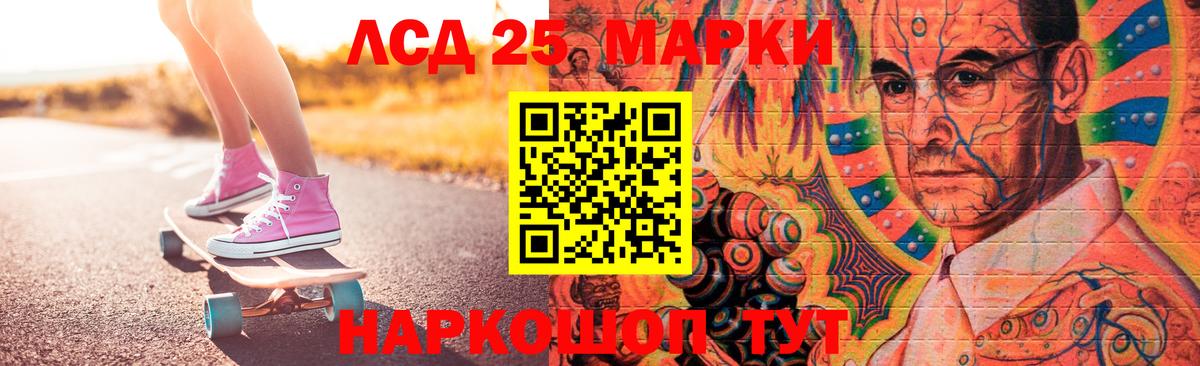 Лсд 25 экстази ecstasy  Вход с VPN  Курчалой  LSD-25 экстази  LSD-25 экстази ecstasy 