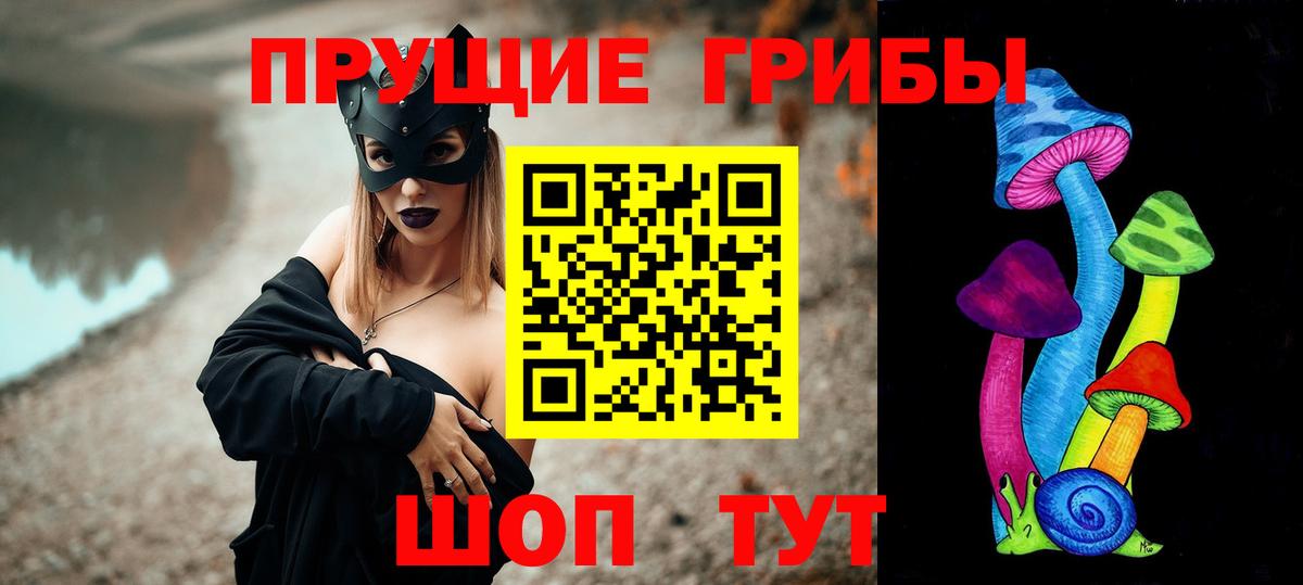 Псилоцибиновые грибы Psilocybe  Вход с VPN  Галлюциногенные грибы Magic Shrooms  Курчалой 