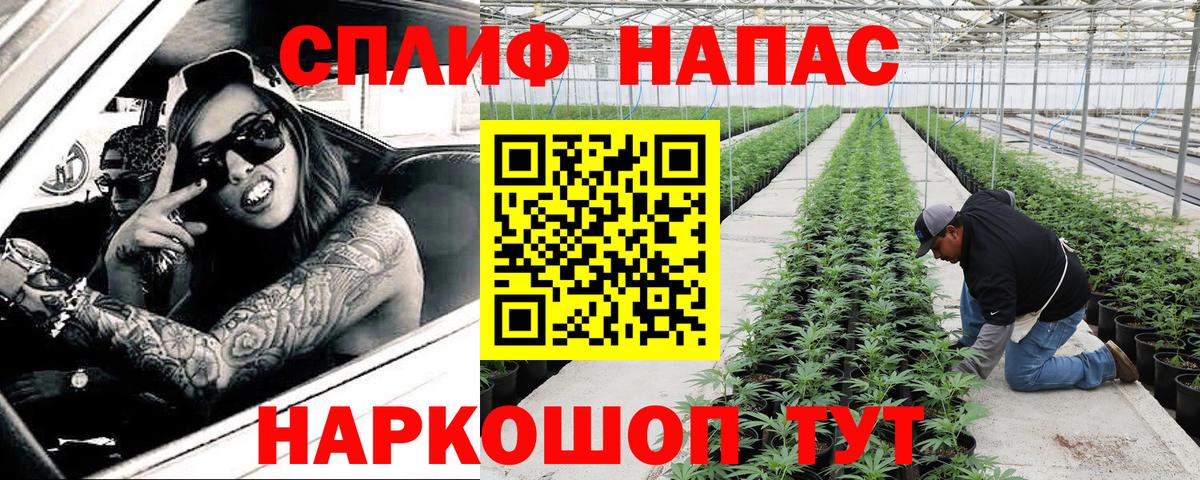 МАРИХУАНА тримм  МАРИХУАНА планчик  Курчалой  Вход с VPN 